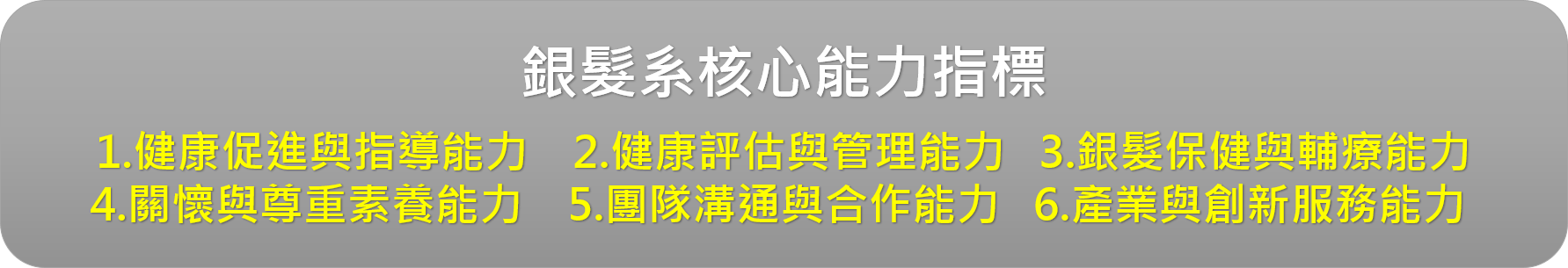 銀髮系核心能力指標